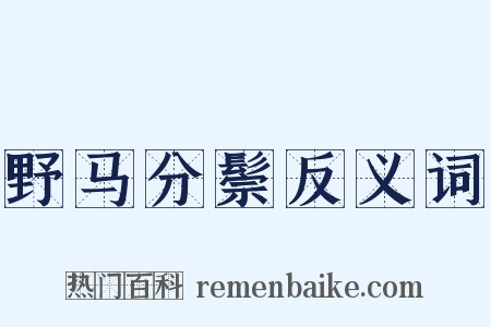 野马分鬃反义词是什么意思的图片